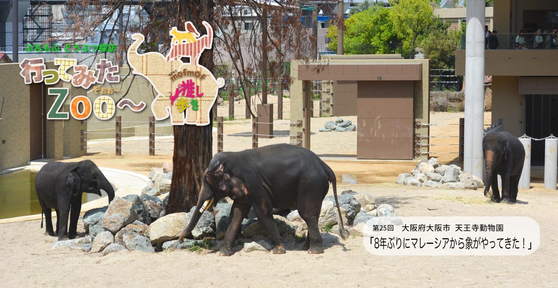 04tennoji _zoo_osakai_japan_top21